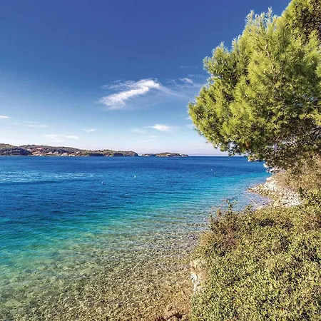 Apartment 1 Bedroom Awesome In Supetarska Draga